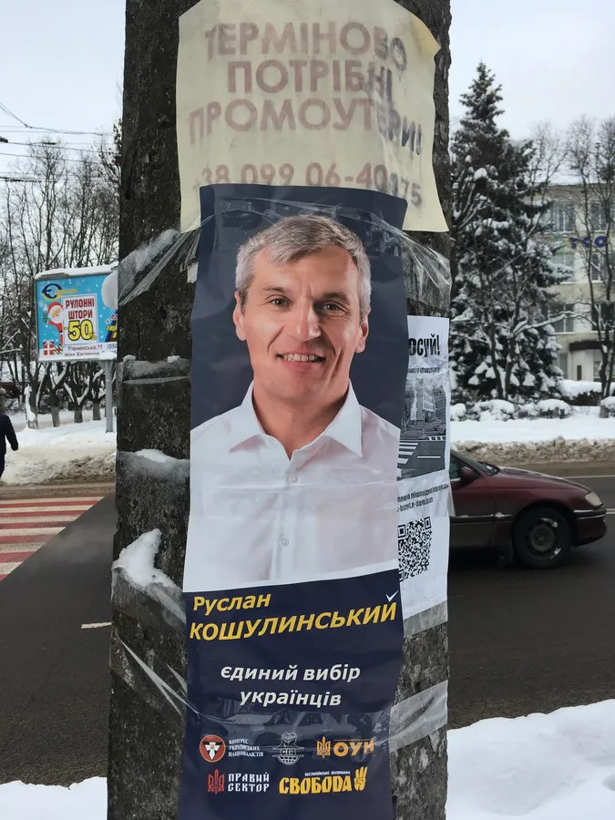 Волинь рясніє білбордами: політичної реклами стає дедалі більше (фото)