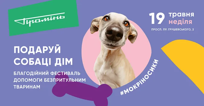 У «Промені» відбудеться фестиваль безпритульних собак*