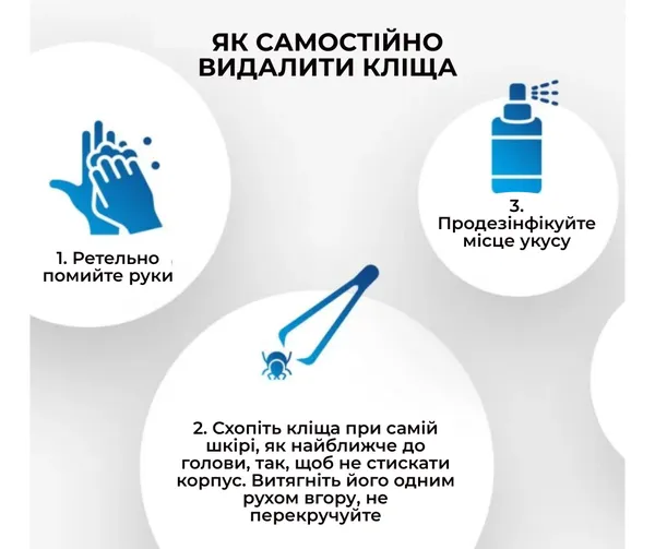 Небезпечний сезон: коли прокидаються кліщі і де їх найбільше