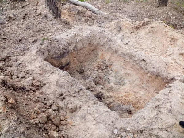 У маневицькому лісі затримали копачів бурштину (фото)