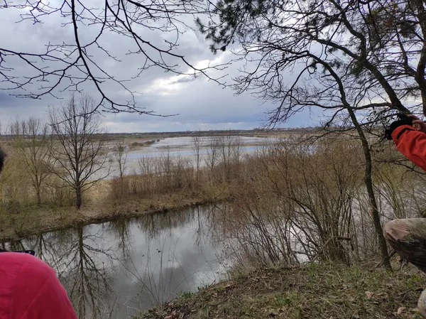 Дика краса: на крутосхилах на Волині ростуть 20-метрові вікові дуби (фото)