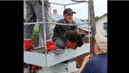 Майже 4 доби сиділо на дереві: у Луцьку врятували кошеня (фото)