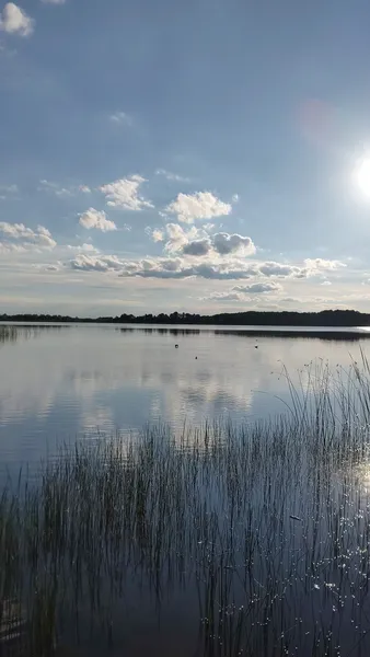 Показали красу одного з невеликих озер на Волині (фото)