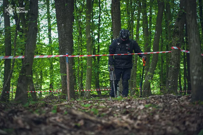 На Волині сапери розміновують заповідне урочище (фото)