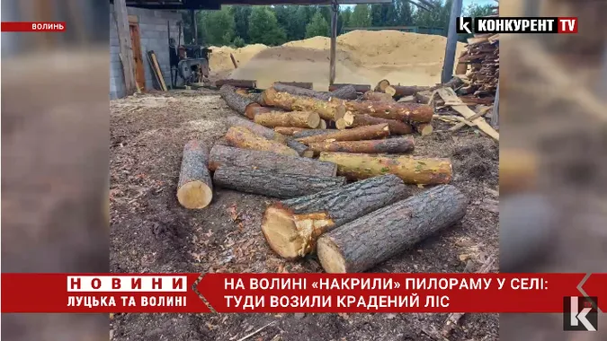 На Волині «накрили» пилораму у селі: туди возили крадений ліс (відео)
