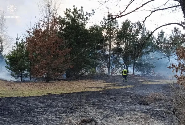 Найбільше – на Ковельщині: на Волині за добу вигоріло понад 7 гектарів (фото)