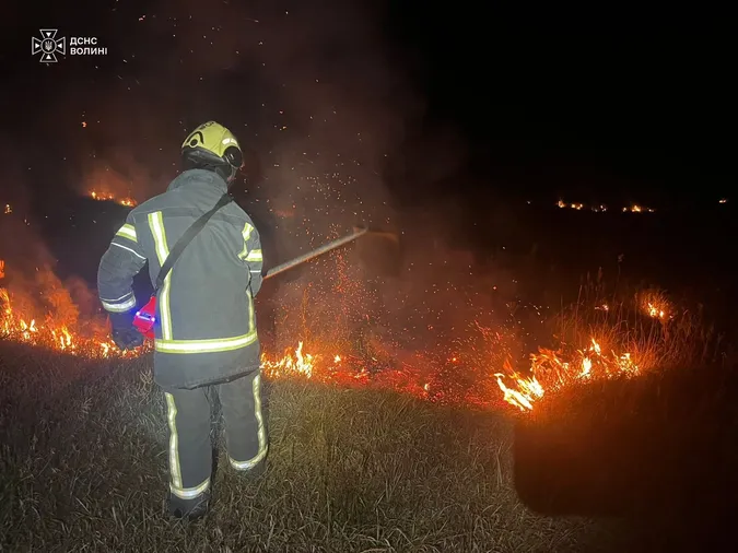 Вогонь охопив 6 гектарів: на Волині за дві доби сталися 8 пожеж (фото)