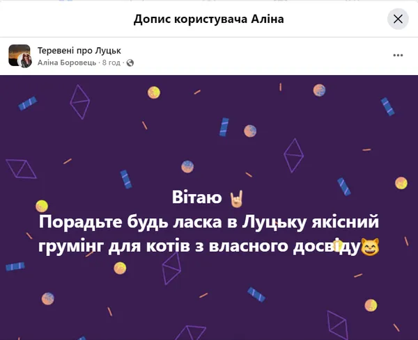 Куди лучани (не) водять своїх тварин на грумінг