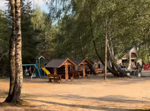 Сосновий ліс і чисті пляжі: біля Луцька є ідеальне місце відпочинку, де мало людей і багато риби (відео)