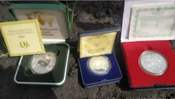У волинянина винесли з будинку сейф із колекційними монетами (фото)