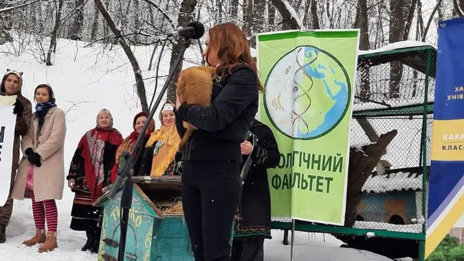 Відомий бабак Тимко передбачив прохолодну та нестабільну весну (фото)