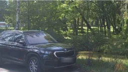 У Луцьку муніципали покарали водія, який припаркувався на газоні у парку (фото)