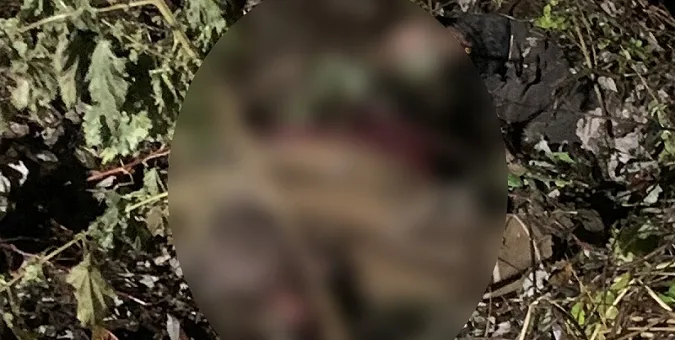 Причетних до жорстокого вбивства чоловіка у Луцькому районі взяли під варту