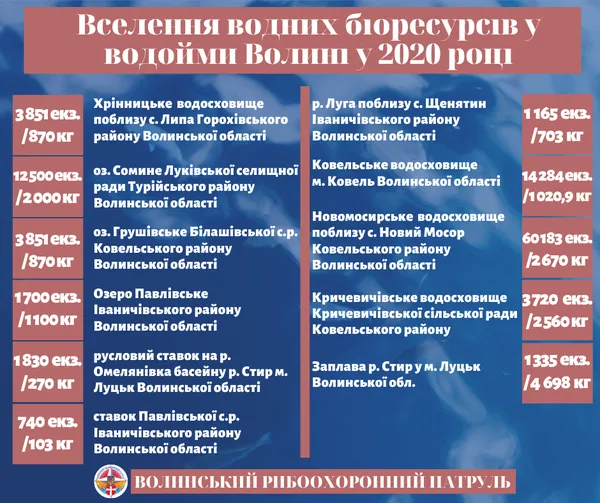 За рік у водойми Волині запустили понад 12 тонн риби