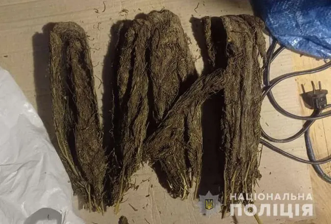Судитимуть волинянина, в якого вилучили понад чотири кіло канабісу