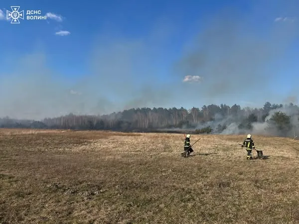 За добу на Волині вигоріло майже 6 гектарів сухої рослинності (фото)