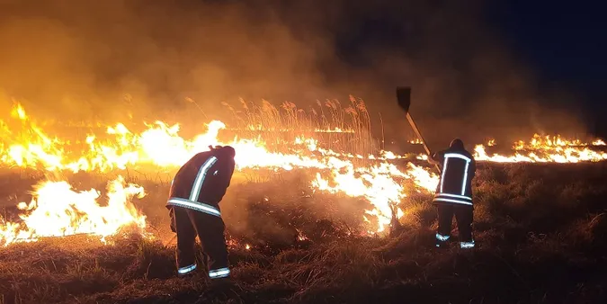 На Волині невідомі підпалили 3 гектари сухої трави та очерету (фото)