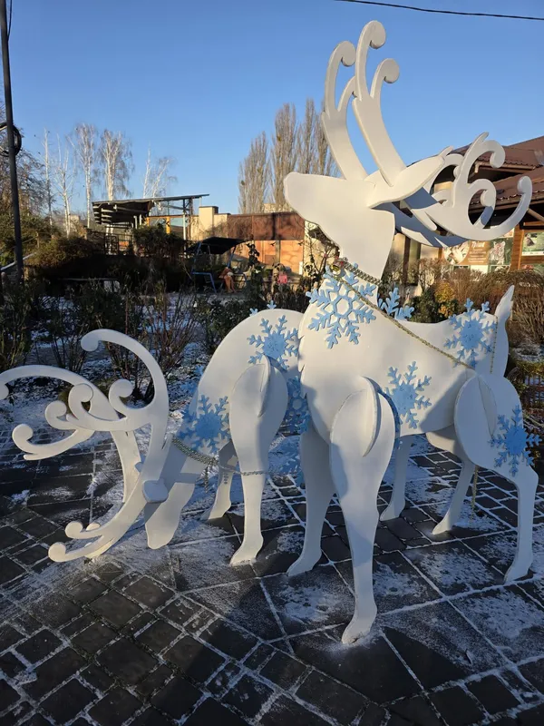 Луцький зоопарк замилував святковим настроєм (фото)