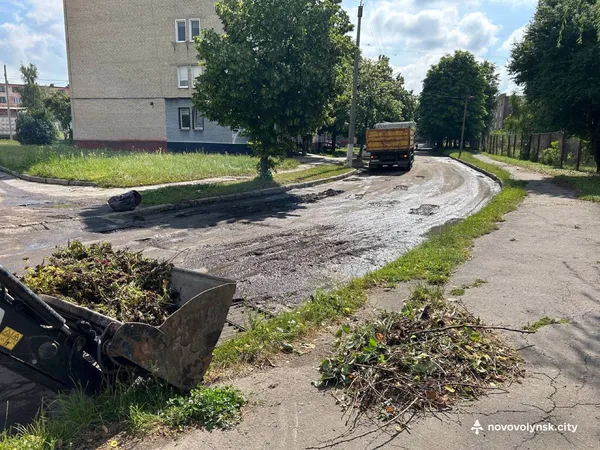 Повалені дерева та пошкоджені лінії електропередач: Нововолинськ оговтується від наслідків негоди (фото)