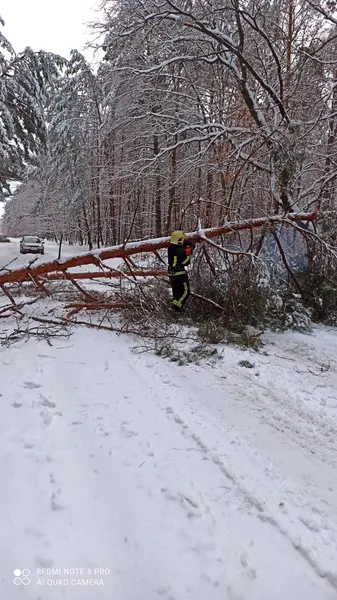 Пожежі, повалені дерева, застряглі авто: що робили волинські рятувальники у неділю (фото)