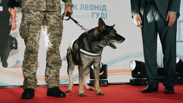 Служба у спадок: як волинський прикордонник започаткував династію службових собак (фото)