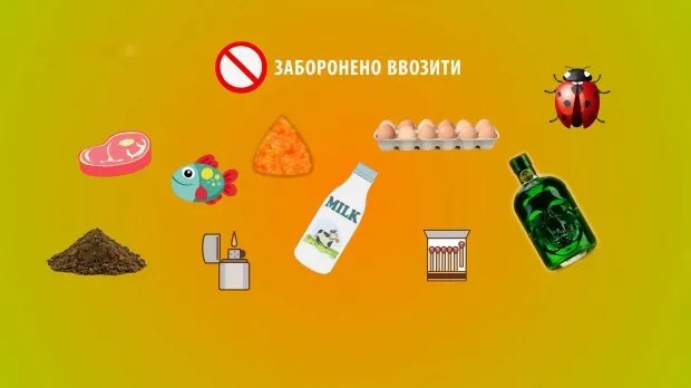 Які товари не можна везти за кордон (інфографіка)
