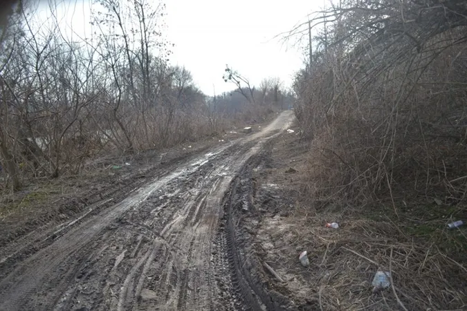 У «Старому місті» берег річки Стир забруднений сміттям (фото)