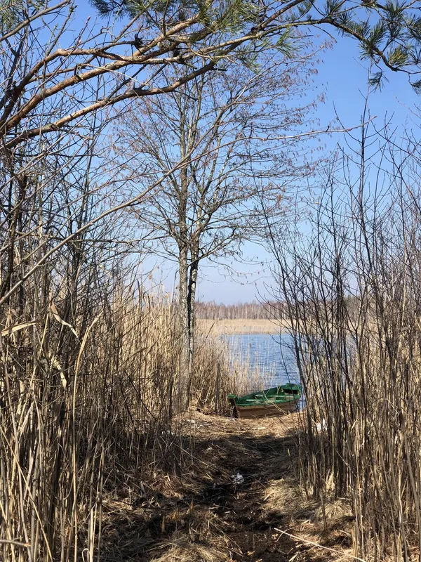 На Волині є невелике мальовниче озеро, де водиться багато риби
