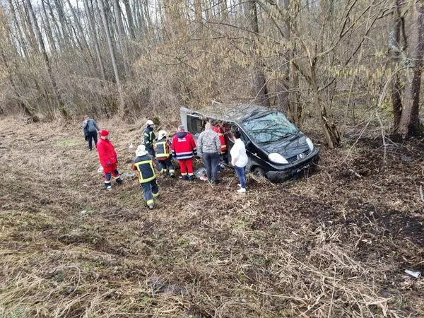 На Волині мікроавтобус злетів з дороги – рятувальники визволяли пасажира (фото)