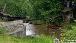 На Буковині обвалився підвісний міст, на якому були діти (відео)