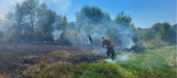 7 пожеж за добу: на Волині вогонь охопив понад 2 гектари сухостою (фото)