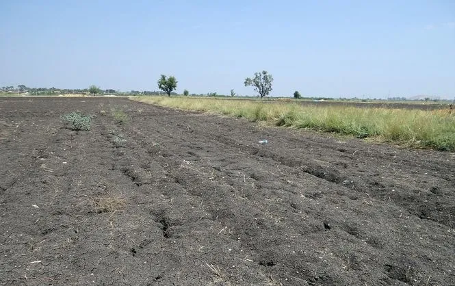 У Мінагрополітики пропонують альтернативу продажу землі