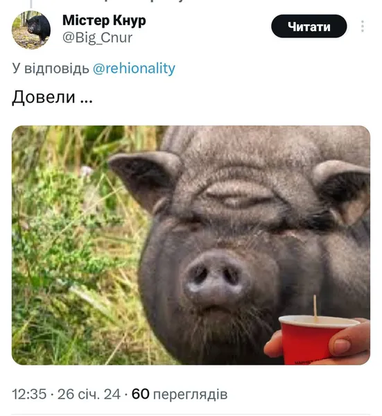 Дохла свиня у Луцьку розірвала інтернет