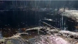 На Маневиччині річка вийшла з берегів і затопила дорогу (відео)