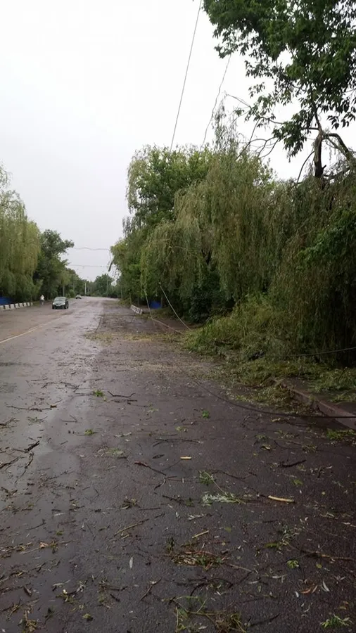 У Луцьку після негоди відновлюють тролейбусні лінії (фото)