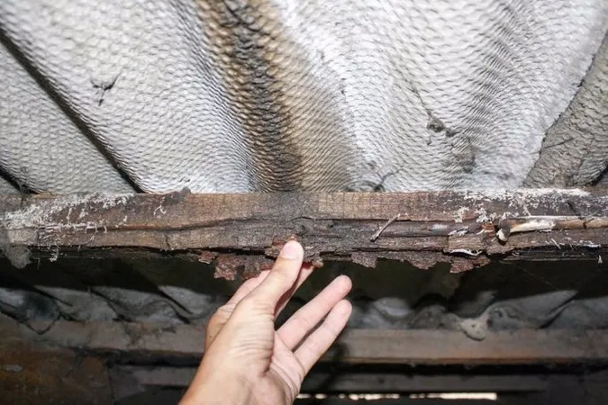 Лучани потерпають через дірявий дах в будинку