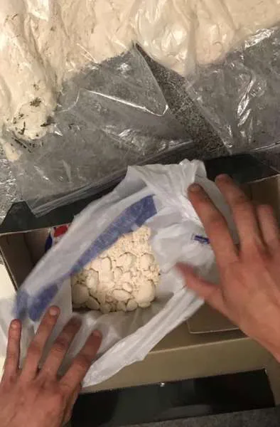 У Луцьку «взяли» спільників харківського наркоторговця