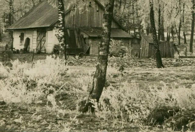 Волинське село показали на фото столітньої давнини