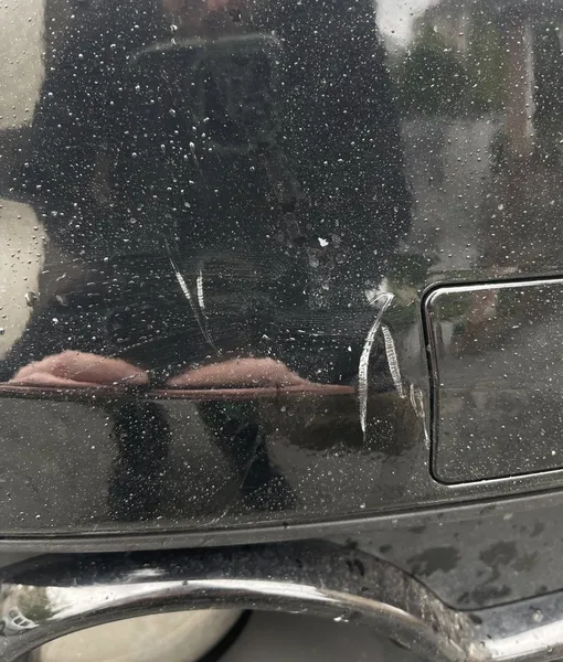 Безпритульні собаки погризли автівку лучанина (фото, відео)