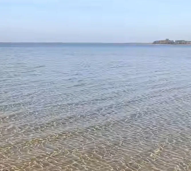 Осінній Світязь: де тиша зустрічається з красою (фото, відео)