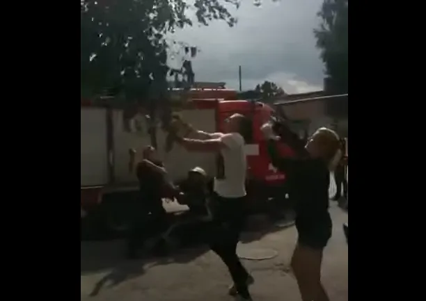 Десять годин на верхівці: у Ковелі зняли з дерева кошеня (відео)