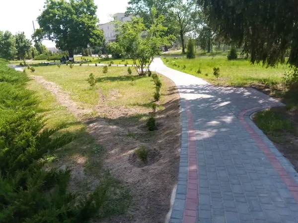 «Живі» гроші,  ремонти, створення парків: як лісівники допомагають громадам на Волині (фото)