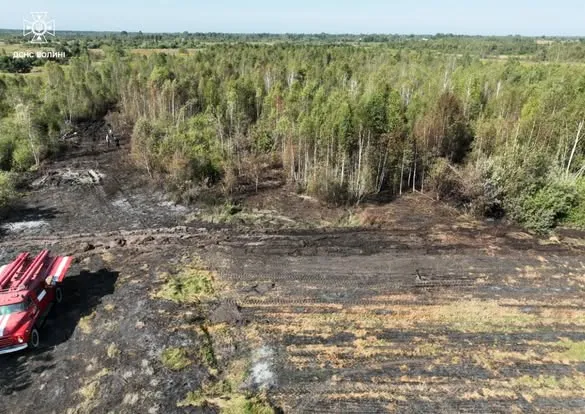 Горіли суха трава, чагарники, торф: на Волині загасили сім пожеж (фото)