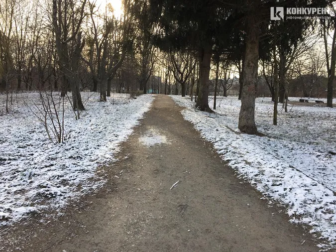 Сніг у березні: фото луцького парку
