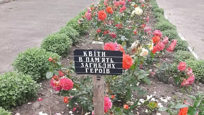 На Волині вандали знищили квіти висадженні в пам'ять загиблих Героїв (фото)