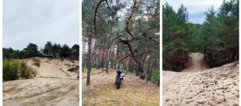 Серед лісу – справжні дюни: на Поліссі причаїлися 4 піщані гори, про які мало хто знає (відео)