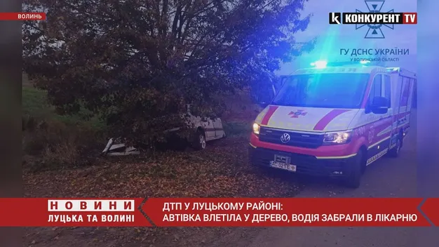 Під Луцьком Volkswagen налетів на дерево – водій у лікарні (фото, відео)