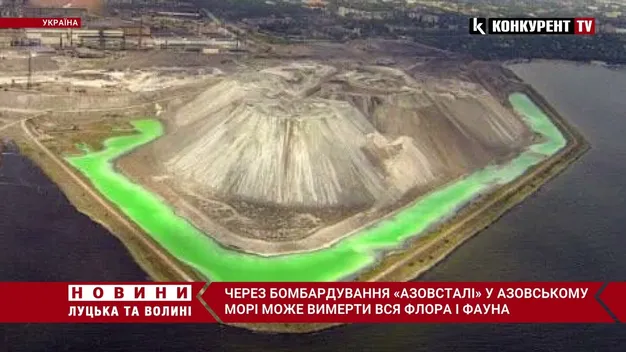 Через російські бомбардування Азовське море може вимерти (відео)