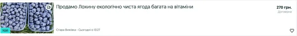 Ціни «кусаються»: скільки на Волині коштує перша лохина (фото)
