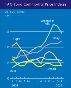 Які продукти найбільше подорожчали у світі за останній рік